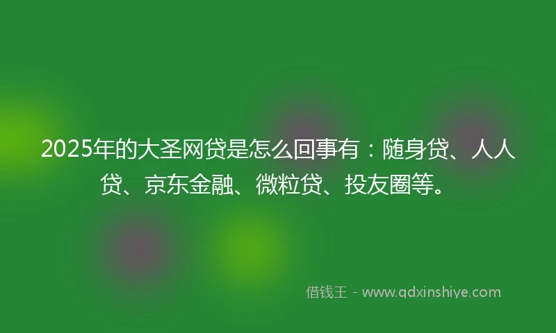 2025年的大圣网贷是怎么回事有：随身贷、人人贷、京东金融、微粒贷、投友圈等。
