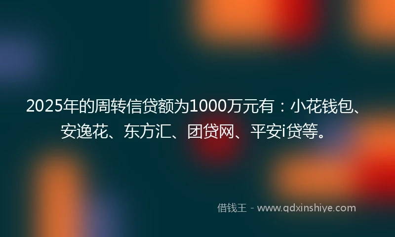 2025年的周转信贷额为1000万元有：小花钱包、安逸花、东方汇、团贷网、平安i贷等。