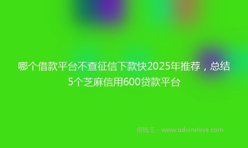哪个借款平台不查征信下款快2025年推荐，总结5个芝麻信用600贷款平台