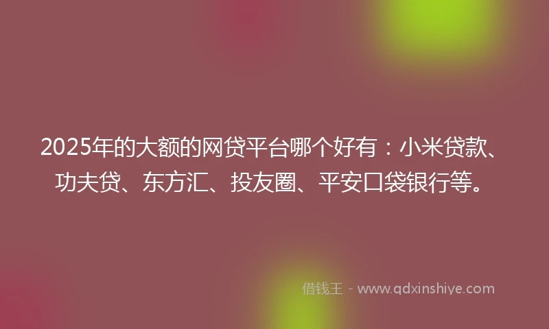 2025年的大额的网贷平台哪个好有：小米贷款、功夫贷、东方汇、投友圈、平安口袋银行等。