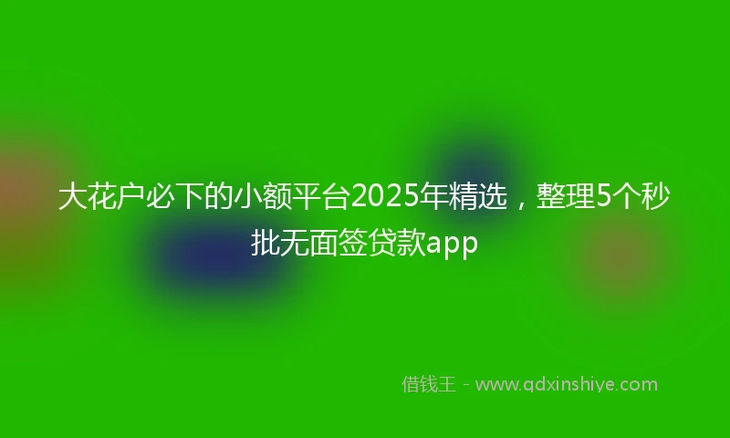 大花户必下的小额平台2025年精选，整理5个秒批无面签贷款app