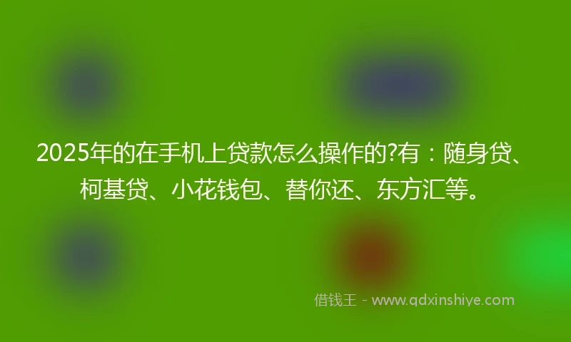 2025年的在手机上贷款怎么操作的?有:随身贷、柯基贷、小花钱包、替你还、东方汇等。