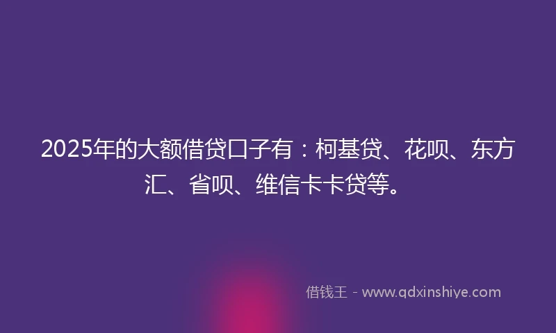 2025年的大额借贷口子有：柯基贷、花呗、东方汇、省呗、维信卡卡贷等。