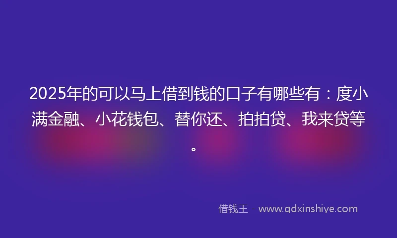 2025年的可以马上借到钱的口子有哪些有：度小满金融、小花钱包、替你还、拍拍贷、我来贷等。