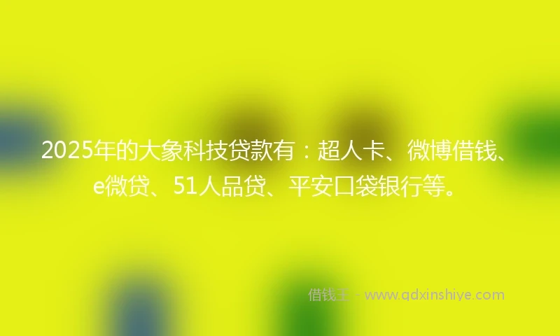 2025年的大象科技贷款有：超人卡、微博借钱、e微贷、51人品贷、平安口袋银行等。