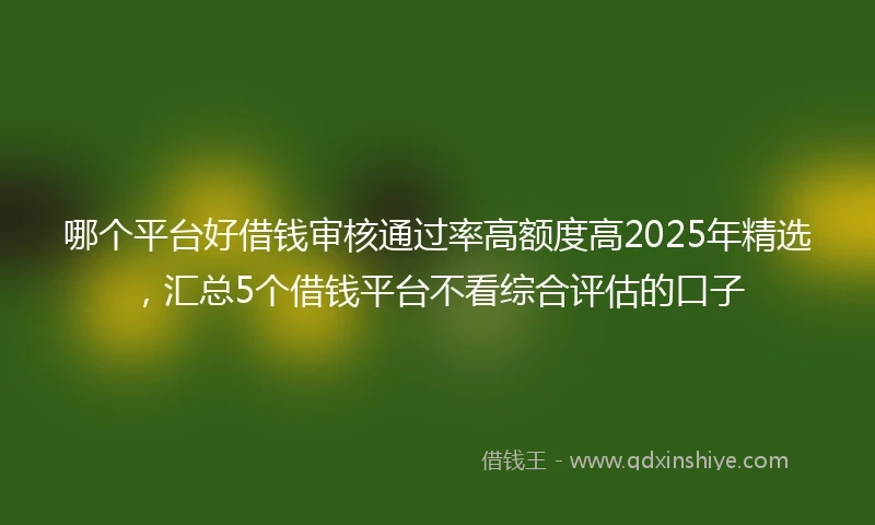 哪个平台好借钱审核通过率高额度高2025年精选，汇总5个借钱平台不看综合评估的口子