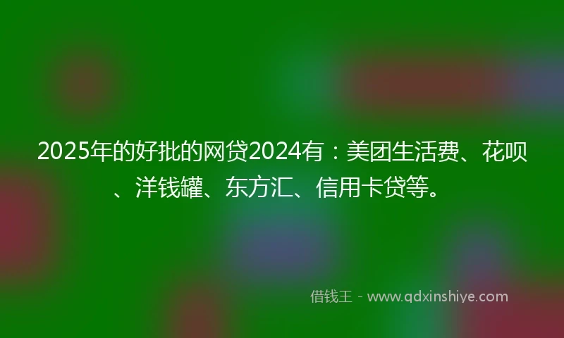 2025年的好批的网贷2024有：美团生活费、花呗、洋钱罐、东方汇、信用卡贷等。