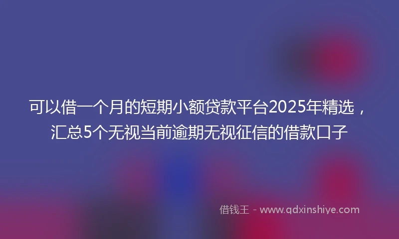 可以借一个月的短期小额贷款平台2025年精选，汇总5个无视当前逾期无视征信的借款口子