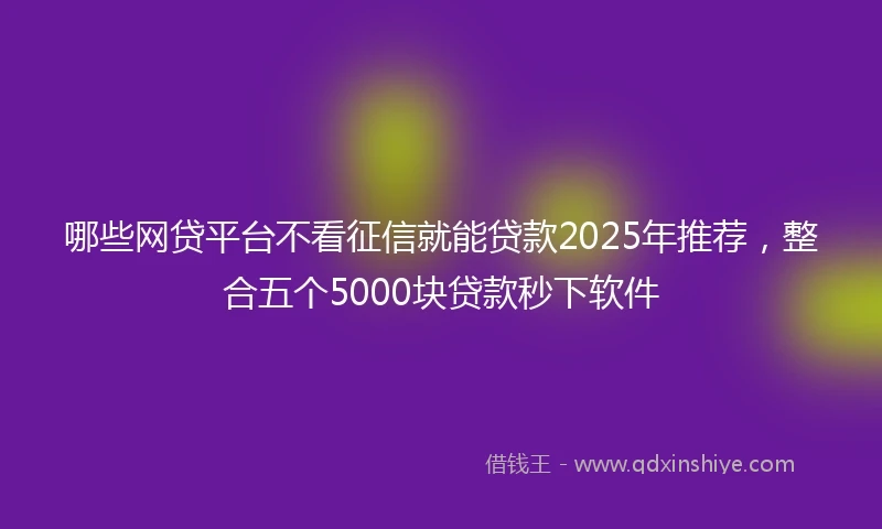 哪些网贷平台不看征信就能贷款2025年推荐，整合五个5000块贷款秒下软件