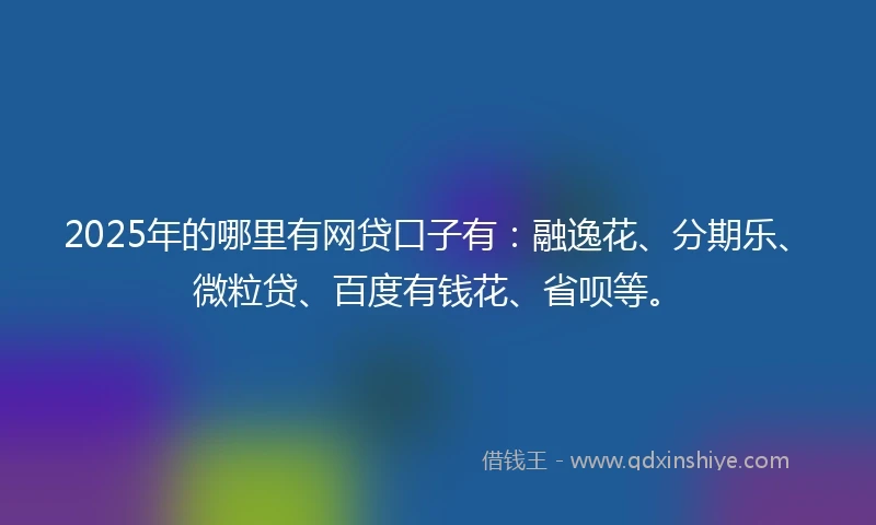 2025年的哪里有网贷口子有：融逸花、分期乐、微粒贷、百度有钱花、省呗等。