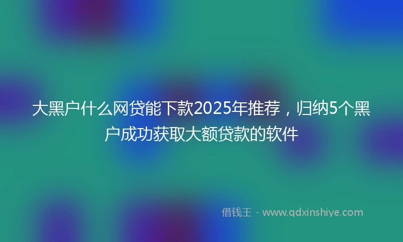 大黑户什么网贷能下款2025年推荐，归纳5个黑户成功获取大额贷款的软件