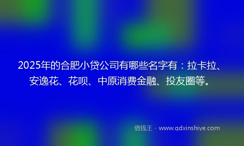 2025年的合肥小贷公司有哪些名字有：拉卡拉、安逸花、花呗、中原消费金融、投友圈等。