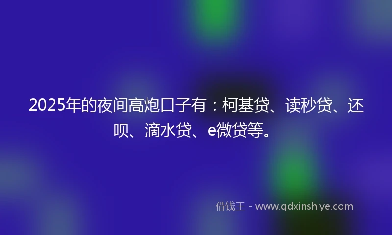 2025年的夜间高炮口子有：柯基贷、读秒贷、还呗、滴水贷、e微贷等。