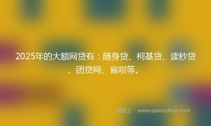 2025年的大额网贷有：随身贷、柯基贷、读秒贷、团贷网、省呗等。