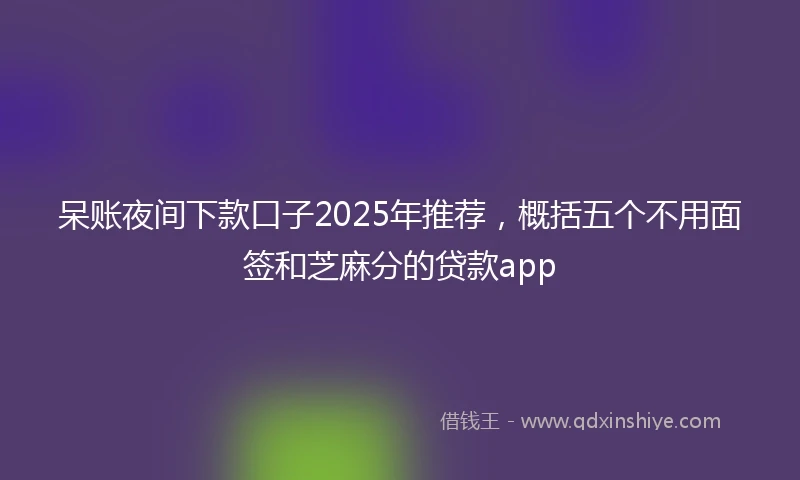 呆账夜间下款口子2025年推荐，概括五个不用面签和芝麻分的贷款app