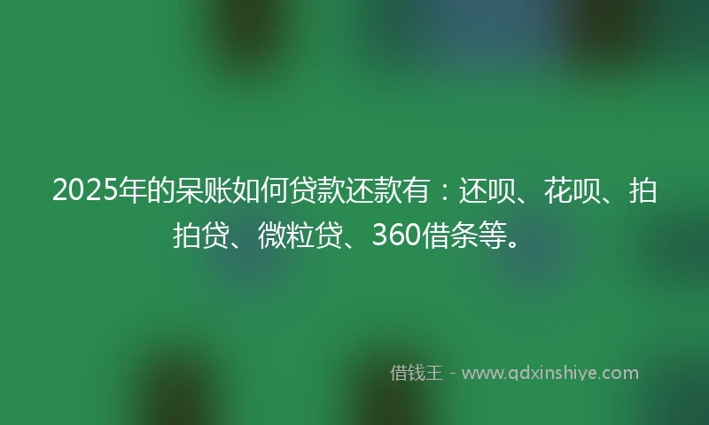 2025年的呆账如何贷款还款有：还呗、花呗、拍拍贷、微粒贷、360借条等。