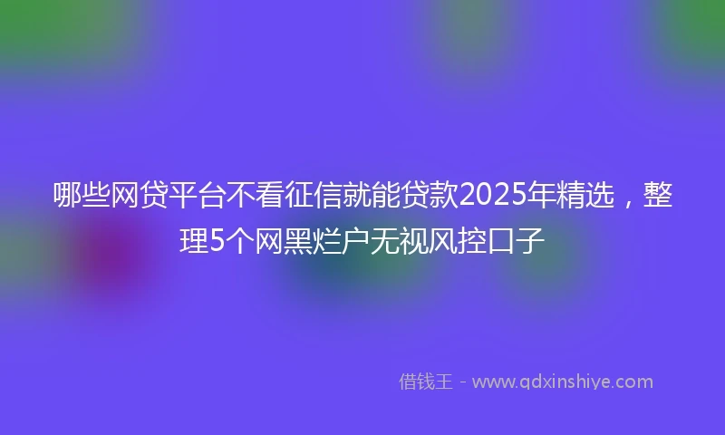 哪些网贷平台不看征信就能贷款2025年精选，整理5个网黑烂户无视风控口子