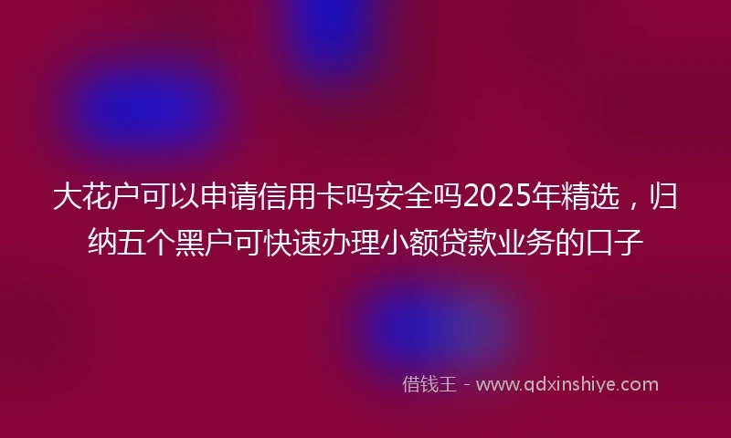 大花户可以申请信用卡吗安全吗2025年精选，归纳五个黑户可快速办理小额贷款业务的口子
