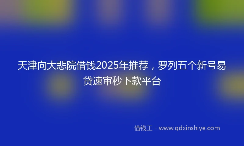 天津向大悲院借钱2025年推荐，罗列五个新号易贷速审秒下款平台