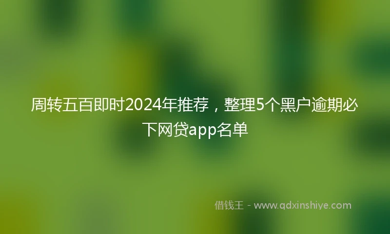 周转五百即时2024年推荐，整理5个黑户逾期必下网贷app名单