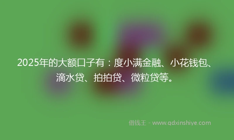 2025年的大额口子有：度小满金融、小花钱包、滴水贷、拍拍贷、微粒贷等。