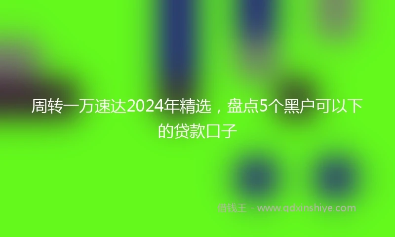 周转一万速达2024年精选，盘点5个黑户可以下的贷款口子