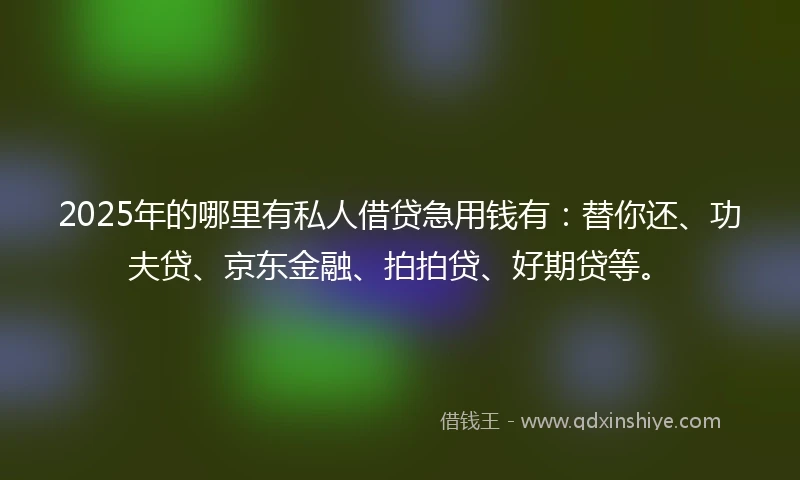 2025年的哪里有私人借贷急用钱有：替你还、功夫贷、京东金融、拍拍贷、好期贷等。