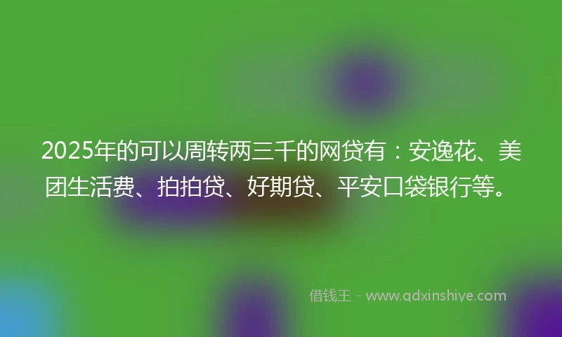 2025年的可以周转两三千的网贷有：安逸花、美团生活费、拍拍贷、好期贷、平安口袋银行等。