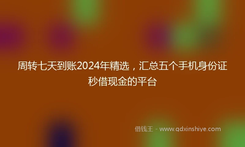 周转七天到账2024年精选，汇总五个手机身份证秒借现金的平台
