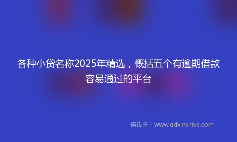 各种小贷名称2025年精选，概括五个有逾期借款容易通过的平台