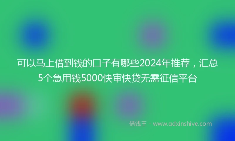 可以马上借到钱的口子有哪些2024年推荐，汇总5个急用钱5000快审快贷无需征信平台