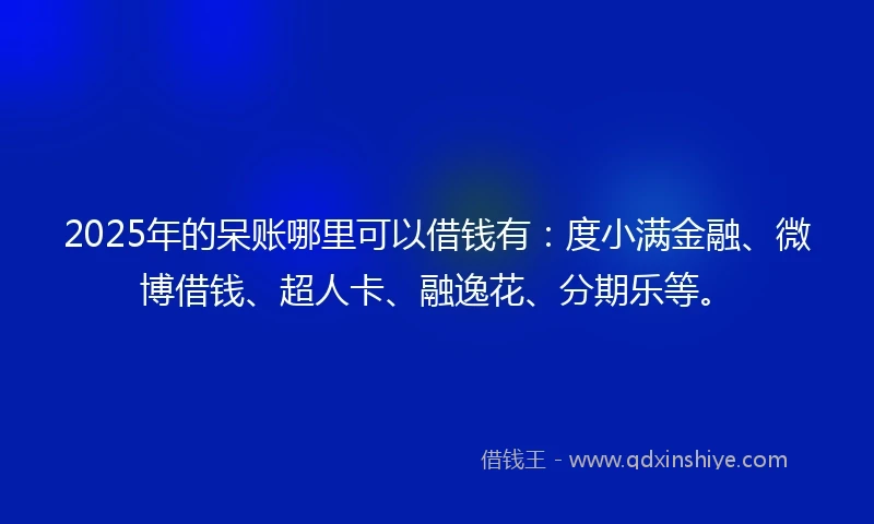 2025年的呆账哪里可以借钱有：度小满金融、微博借钱、超人卡、融逸花、分期乐等。