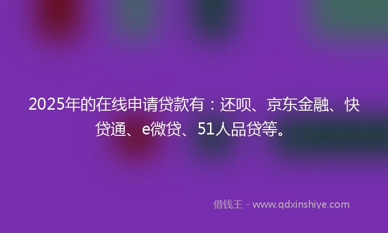 2025年的在线申请贷款有：还呗、京东金融、快贷通、e微贷、51人品贷等。