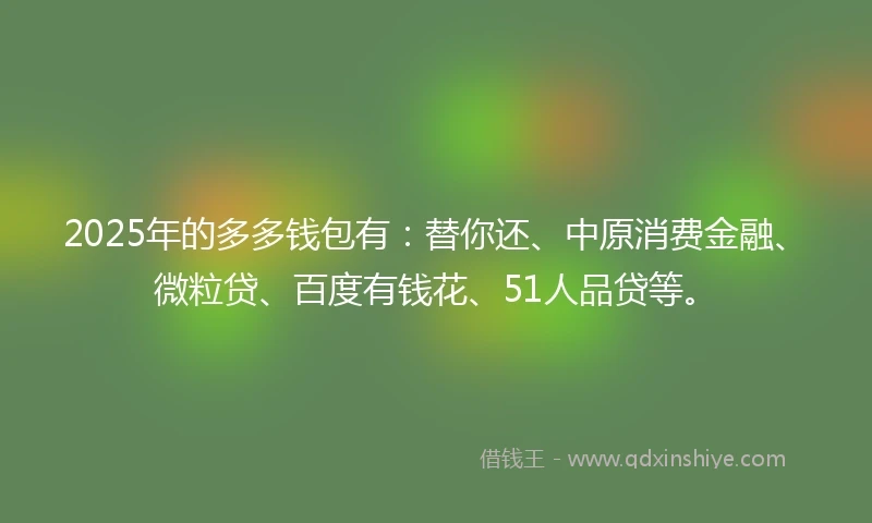 2025年的多多钱包有：替你还、中原消费金融、微粒贷、百度有钱花、51人品贷等。