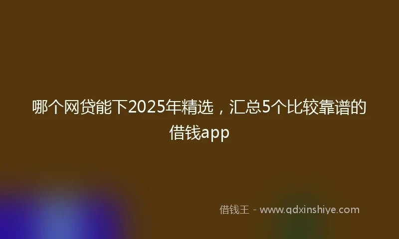 哪个网贷能下2025年精选，汇总5个比较靠谱的借钱app