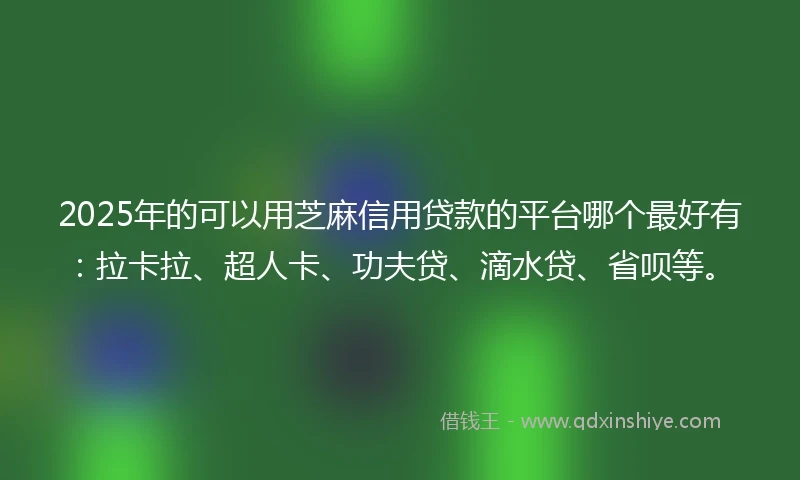 2025年的可以用芝麻信用贷款的平台哪个最好有：拉卡拉、超人卡、功夫贷、滴水贷、省呗等。