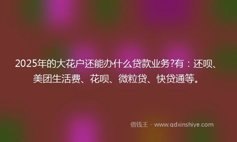 2025年的大花户还能办什么贷款业务?有：还呗、美团生活费、花呗、微粒贷、快贷通等。