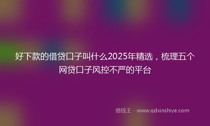 好下款的借贷口子叫什么2025年精选，梳理五个网贷口子风控不严的平台