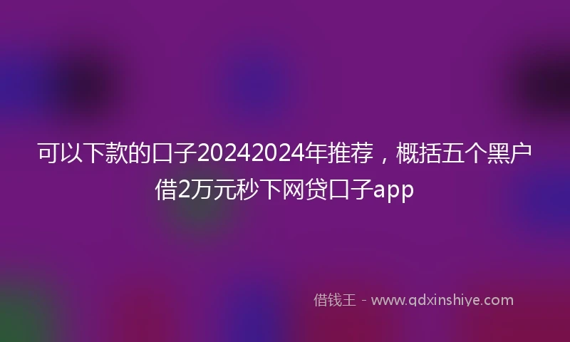 可以下款的口子20242024年推荐，概括五个黑户借2万元秒下网贷口子app