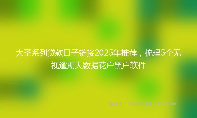 大圣系列贷款口子链接2025年推荐，梳理5个无视逾期大数据花户黑户软件