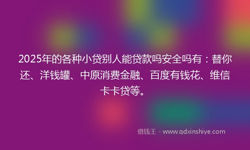 2025年的各种小贷别人能贷款吗安全吗有：替你还、洋钱罐、中原消费金融、百度有钱花、维信卡卡贷等。