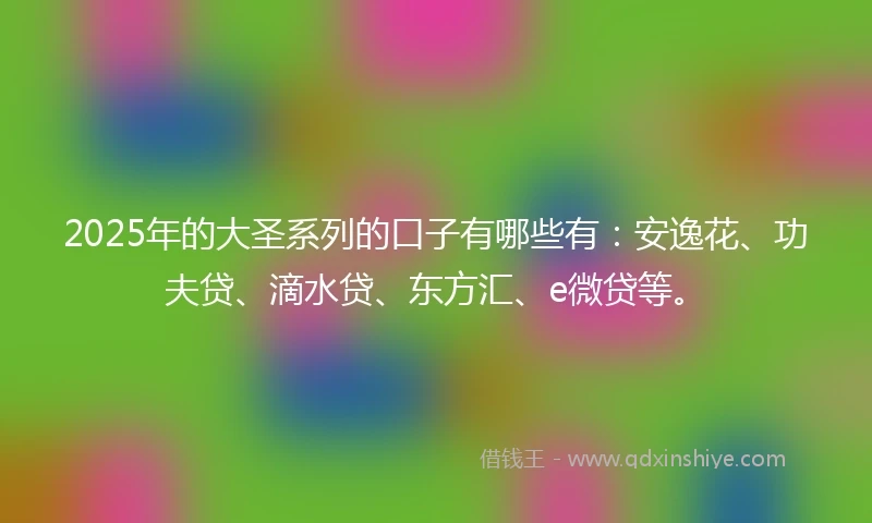 2025年的大圣系列的口子有哪些有：安逸花、功夫贷、滴水贷、东方汇、e微贷等。