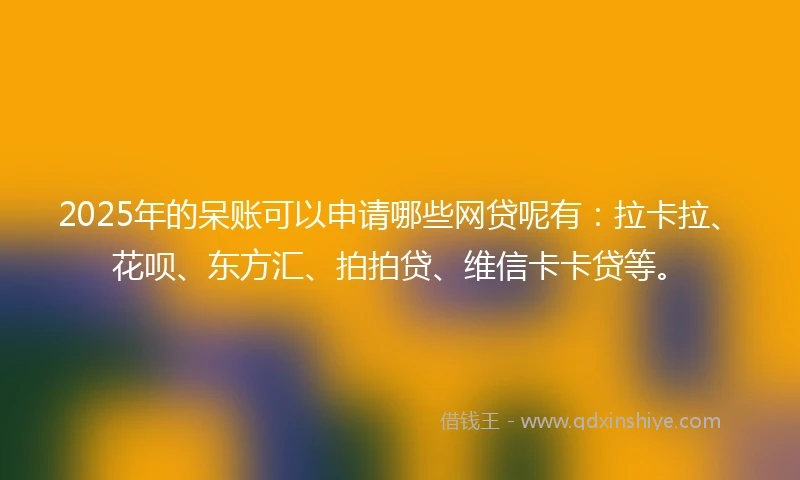 2025年的呆账可以申请哪些网贷呢有：拉卡拉、花呗、东方汇、拍拍贷、维信卡卡贷等。