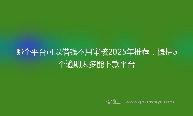哪个平台可以借钱不用审核2025年推荐，概括5个逾期太多能下款平台
