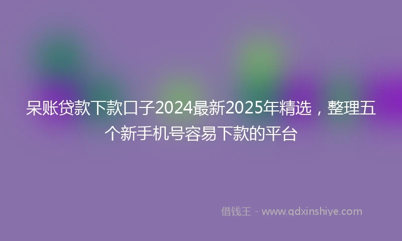 呆账贷款下款口子2024最新2025年精选，整理五个新手机号容易下款的平台