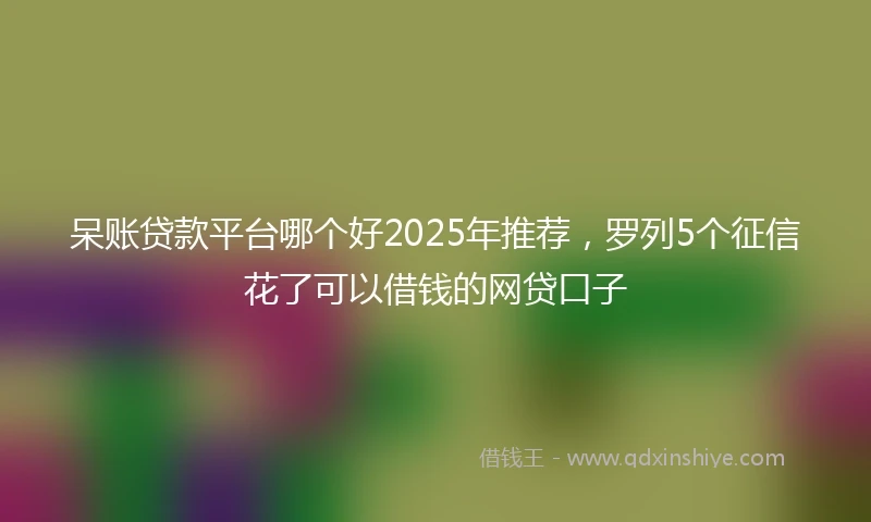 呆账贷款平台哪个好2025年推荐，罗列5个征信花了可以借钱的网贷口子