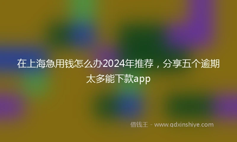 在上海急用钱怎么办2024年推荐，分享五个逾期太多能下款app