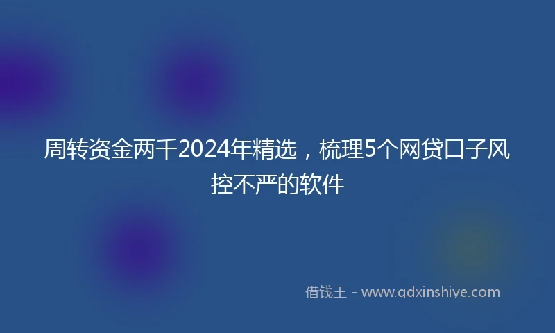 周转资金两千2024年精选,梳理5个网贷口子风控不严的软件