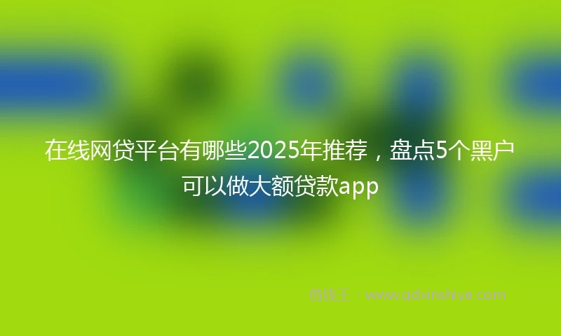 在线网贷平台有哪些2025年推荐，盘点5个黑户可以做大额贷款app