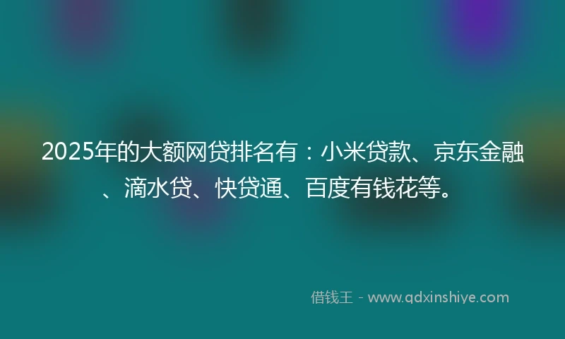 2025年的大额网贷排名有：小米贷款、京东金融、滴水贷、快贷通、百度有钱花等。